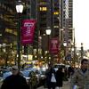 Temple University flags hang from street light poles in Center City Philadelphia.