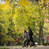 Campus in the Fall