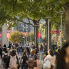 Students walking on Temple's Main Campus